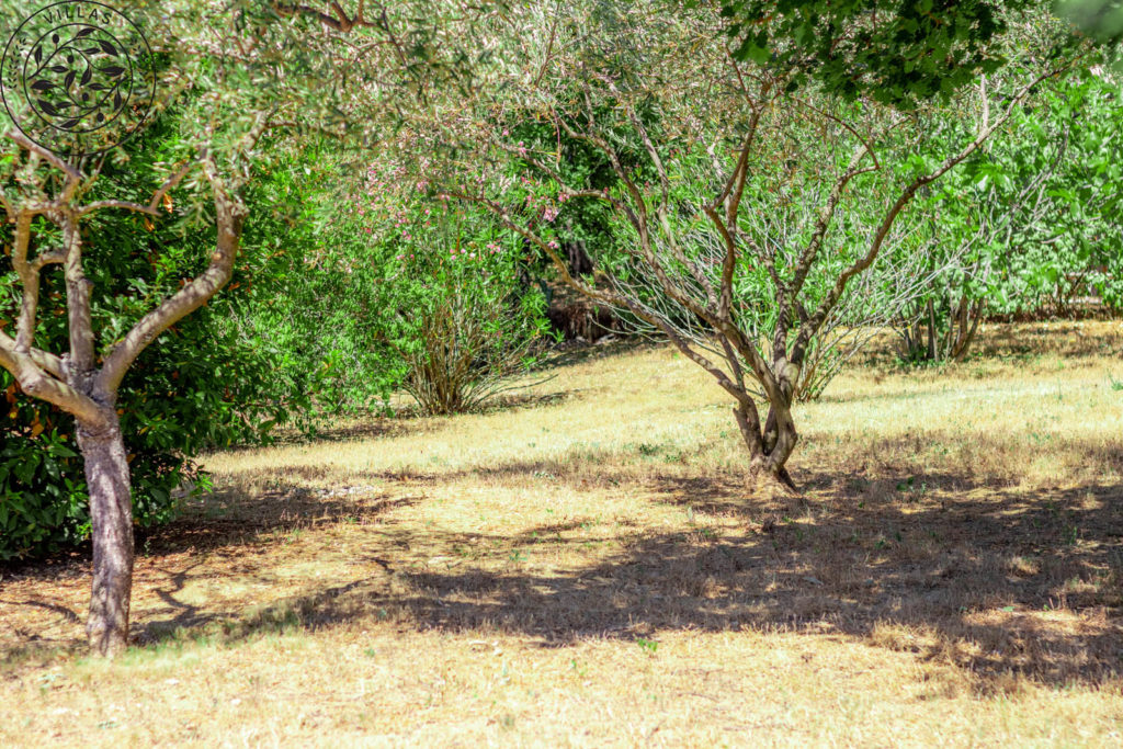 grand gite pour groupe en Ardèche